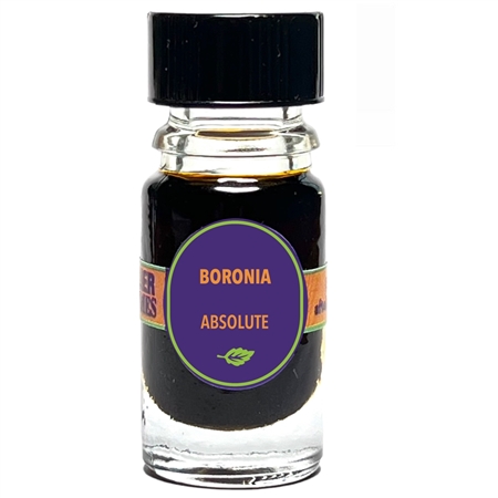 Boronia Absolute